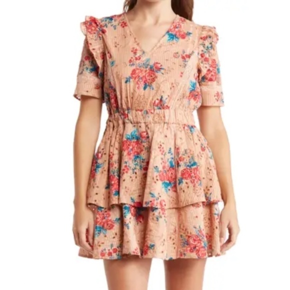 Walter Baker Pink Ivette Floral-print Broderie Anglaise Cotton Mini Dress - Picture 1 of 12